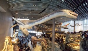 Shanghai Natural History Museum