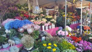 Viktualienmarkt Market Munich Germany Flowers Food Beer